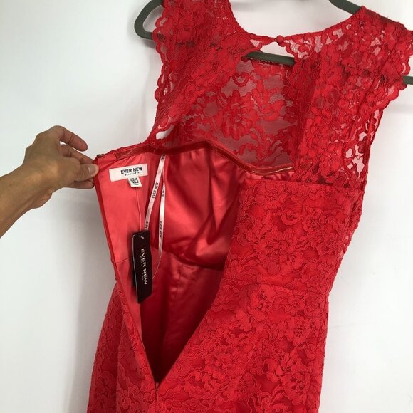 NWT Ever New Red Woven Lace Zena Wrap Dress in Sahara  Red size 2 - Picture 11 of 16